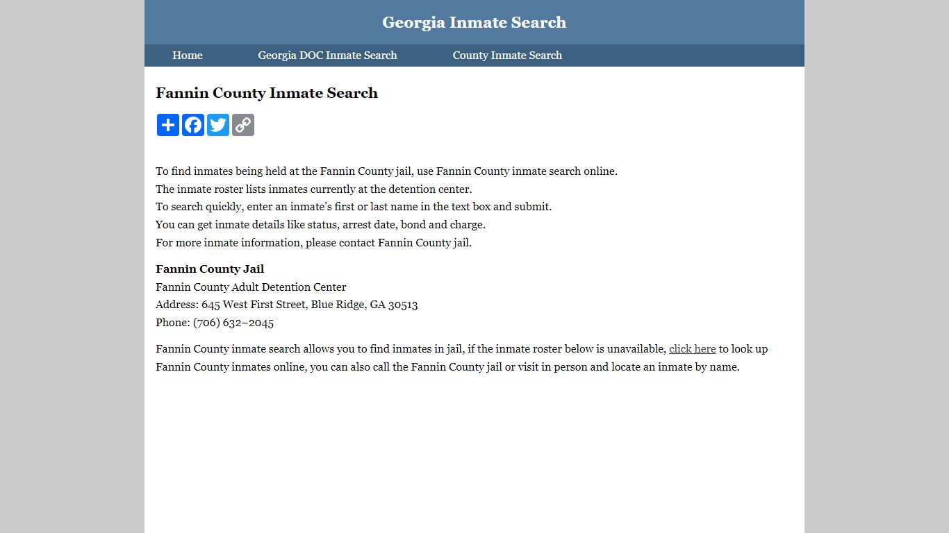 Fannin County Inmate Search