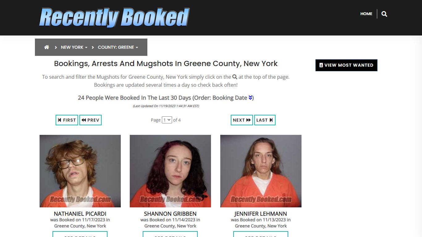 Bookings, Arrests and Mugshots in Greene County, New York