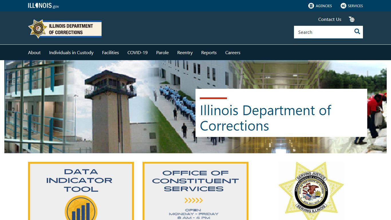 Individual in Custody Search - Illinois