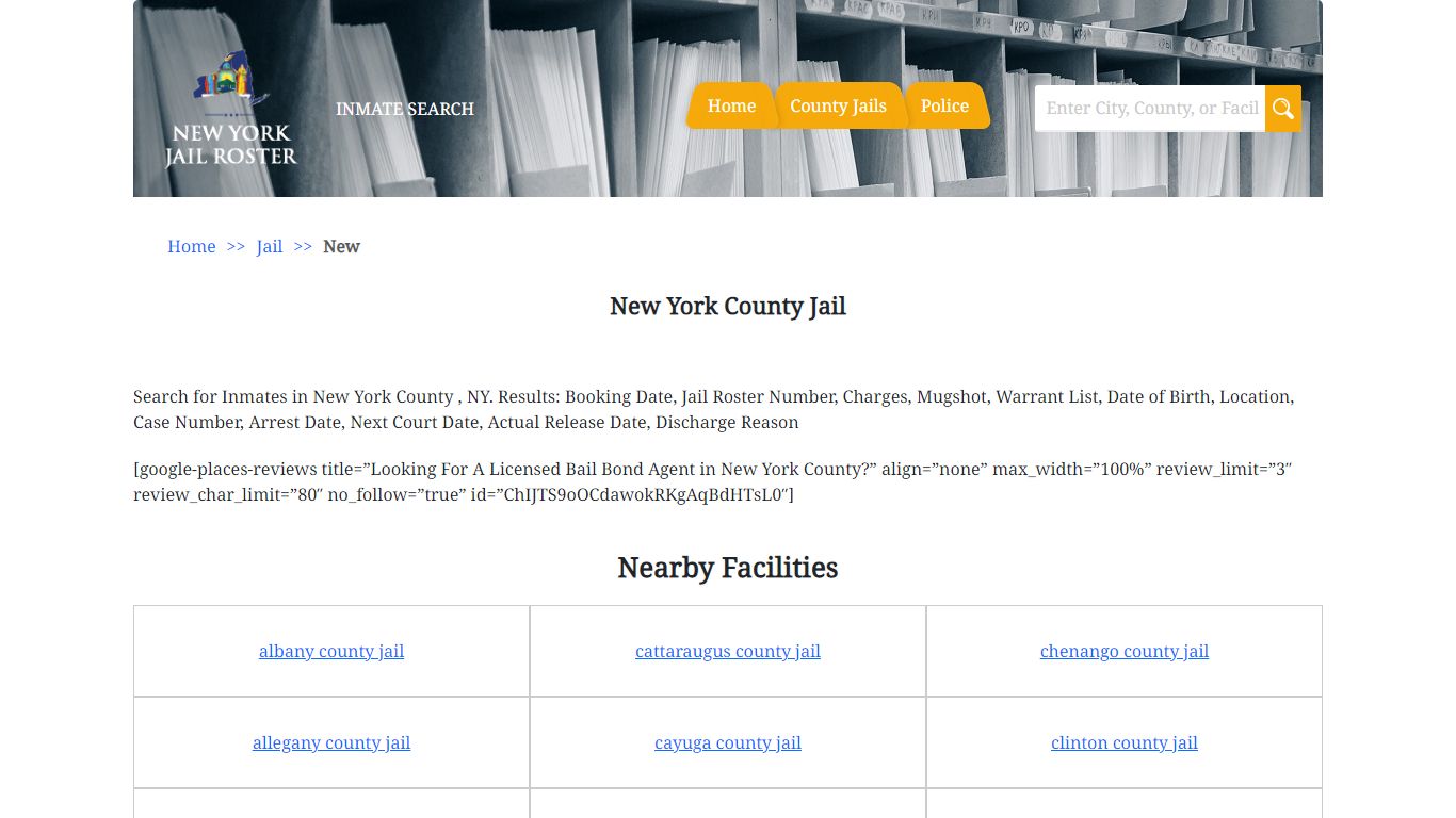 New York County Jail | Jail Roster Search