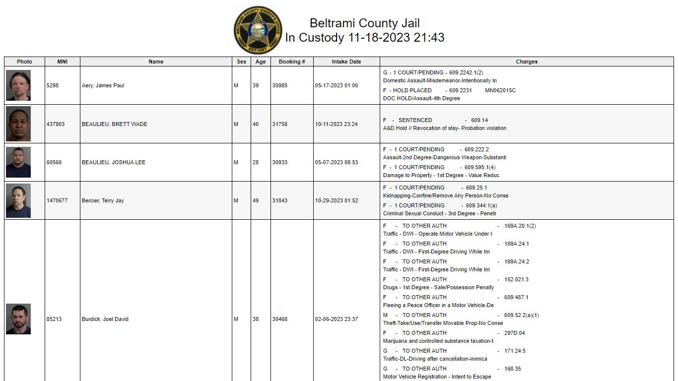 Custody - Beltrami County, Minnesota