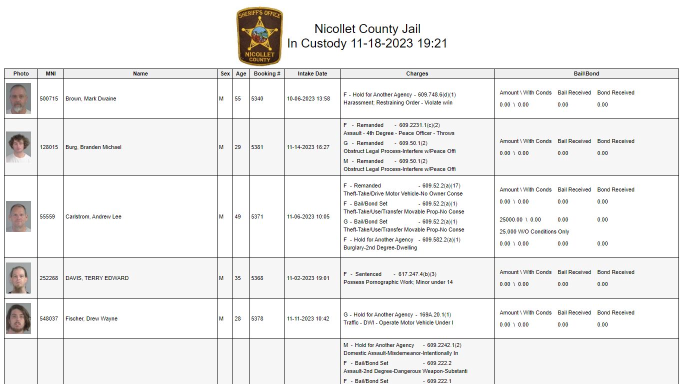 Custody - Nicollet County, Minnesota