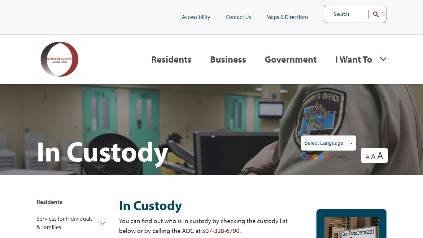 In Custody | Olmsted County, MN